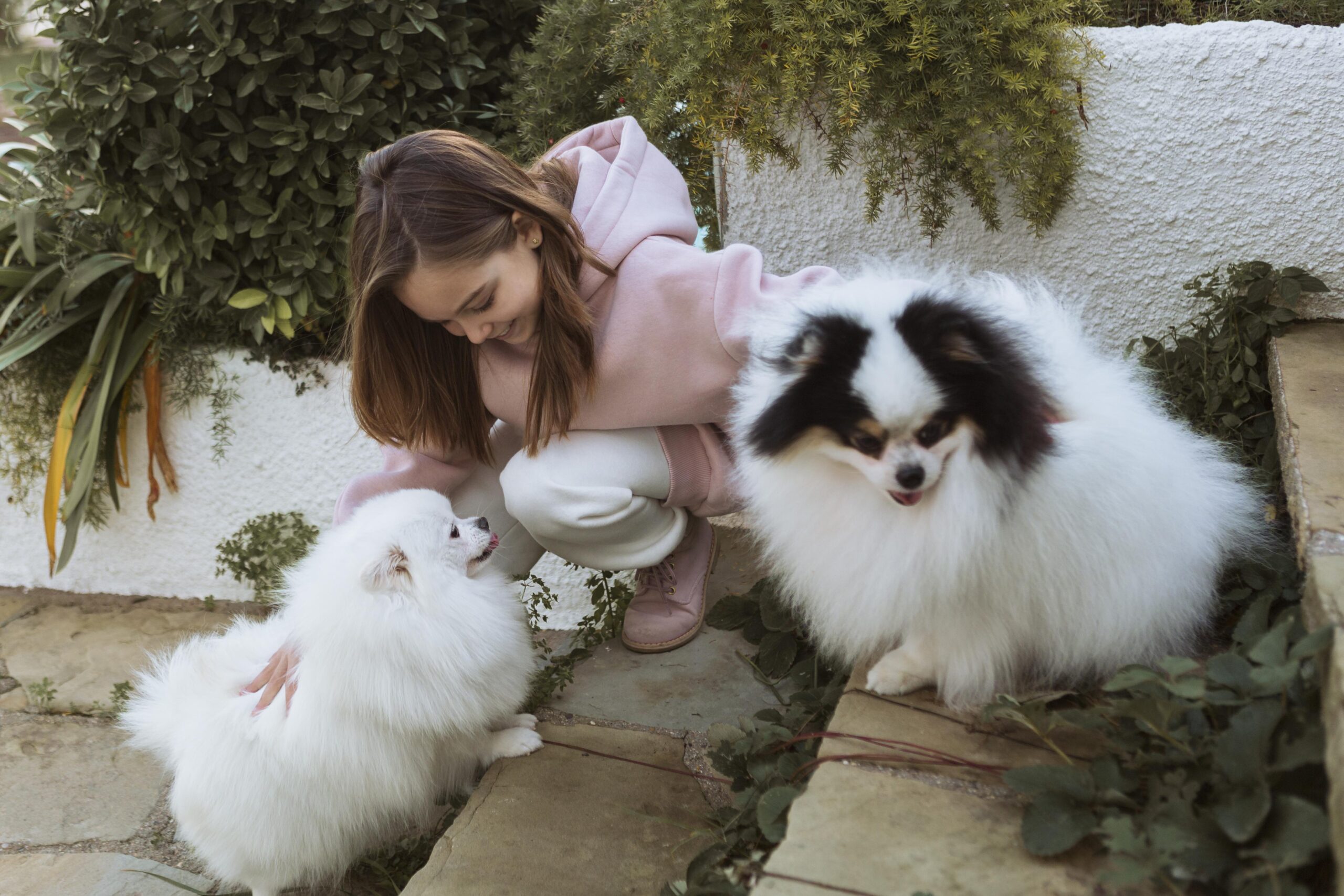 Designer & Hypoallergenic Dog Breeds: Trend or Tailored Companions?